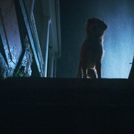 GOOD BOY／グッド・ボーイ 5枚目の写真・画像