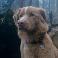 GOOD BOY／グッド・ボーイ 7枚目の写真・画像