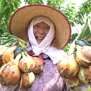 身土不二 2枚目の写真・画像