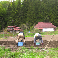 身土不二 4枚目の写真・画像