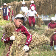 身土不二 6枚目の写真・画像