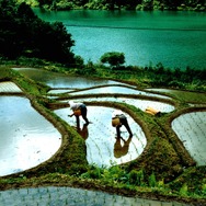 身土不二 10枚目の写真・画像