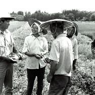 身土不二 12枚目の写真・画像