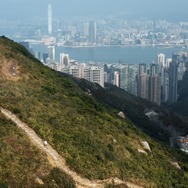 フォー・トレイルズ 限界を超えてゆけ 6枚目の写真・画像