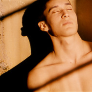 ネネットとボニ 8枚目の写真・画像