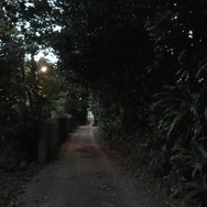 ゆっくり あるく　川村浪子、84歳のダンス 3枚目の写真・画像