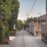 ゆっくり あるく　川村浪子、84歳のダンス 7枚目の写真・画像