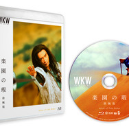 『楽園の瑕 終極版』Blu-ray