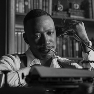 「スパイダー・ノワール」© Aaron Epstein