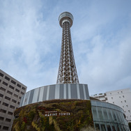 『ラプソディ・ラプソディ』©2026 利重 剛