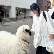 6月に出産予定の『太陽を抱く月』女優ナム・ボラ、道で出会った羊との2ショットを公開【PHOTO】