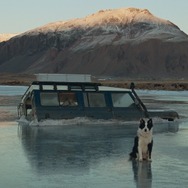 『きれっぱしの愛』© STILL VIVID, SNOWGLOBE, HOBAB, MANEKI FILMS, FILM I VÄST, ARTE FRANCE CINEMA
