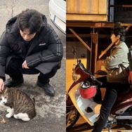 シン・ハギュン×野良猫、“猫×猫の無害な癒やしのツーショット”で心が洗われる【PHOTO】