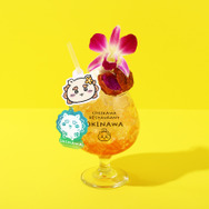 シーサーのさんぴん茶ﾄﾛﾋﾟｶﾙﾄﾞﾘﾝｸｱｸﾘﾙｷｰﾎﾙﾀﾞｰ付き イートイン\1,650（税込）テイクアウト\1,620（税込）　　　　　　　　　　