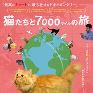 猫たちと7000マイルの旅 1枚目の写真・画像