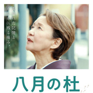 八月の杜 1枚目の写真・画像