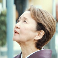 八月の杜 2枚目の写真・画像