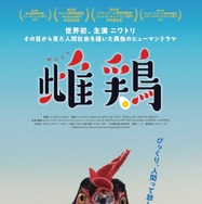 雌鶏 1枚目の写真・画像