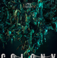 『群体（原題）』（英題『Colony』）©APOLLO
