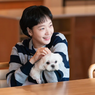 韓国人は白い犬が好き？韓国ドラマに映る「白モフ犬」から見えたペット文化