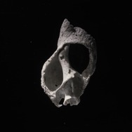 まさゆめ 10枚目の写真・画像