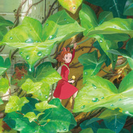 『借りぐらしのアリエッティ』© 2010 Mary Norton/Keiko Niwa/Studio Ghibli, NDHDMTW