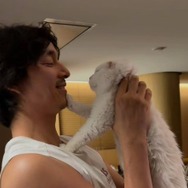俳優コン・ユ、愛猫コンコンの旅立ちを追悼「僕と似ている君が好きだった」【写真】