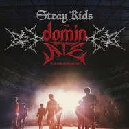 『Stray Kids : The dominATE Experience』© JYP ENTERTAINMENT
