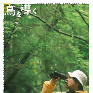 鳥を導く 1枚目の写真・画像