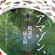 アマゾン、精霊が宿る川 1枚目の写真・画像