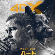 ハート・オブ・ビースト 2枚目の写真・画像
