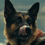 『ハート・オブ・ビースト』©2026 Paramount Pictures. All Rights Reserved.