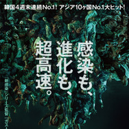 コロニー／群体 1枚目の写真・画像