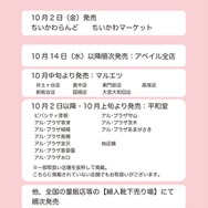 「ちいかわ パイルクルーソックス」
