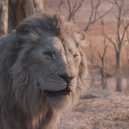 『ライオン・キング：ムファサ』© 2024 Disney Enterprises, Inc.