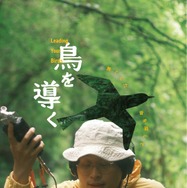 鳥を導く 14枚目の写真・画像