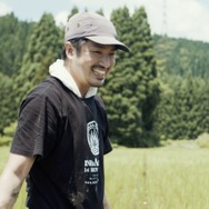 イネとカゼ 1枚目の写真・画像