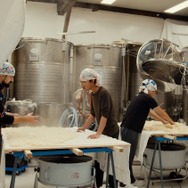 イネとカゼ 3枚目の写真・画像