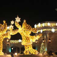東京ディズニーリゾートのクリスマス