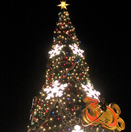 東京ディズニーリゾートのクリスマス