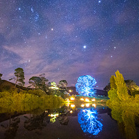 【NZホビット・ツアー】ライトアップで幻想的な世界に！ ホビット庄に潜入・後半 画像