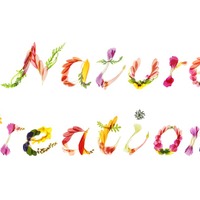 表参道・スパイラルガーデンにて「Nature Creations」開催！ 第一回目は「花」 画像