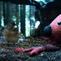 【特別映像】『クーキー』パペットのピンチを救ったのは…“鳥”!? 画像