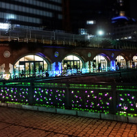 マーチエキュート神田万世橋、クリスマスに向け幻想的な“森イルミ”を実施 画像