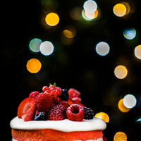 【3時のおやつ】東京マリオットホテルが贈る遊び心にあふれたクリスマスケーキ＆ブレッド 画像