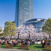 東京ミッドタウン「Midtown Blossom 2016」でお花見グルメ＆スイーツを満喫！ 画像