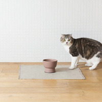 2月22日“猫の日”に捧げる、猫のための陶器「猫用水飲み器」が誕生 画像