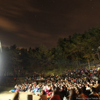 野外上映イベント「夜空と交差する森の映画祭」今年も開催！第1弾作品に『アメリ』 画像
