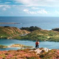 【特別映像】緑豊かなアイルランドの大自然を堪能！『フラワーショウ！』 画像