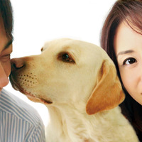 写真と手紙を投稿！　あなたの愛犬が『犬とあなたの物語』公式サイトトップを飾る!? 画像